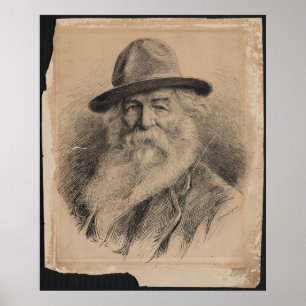 Poster Portrait de Walt Whitman de poète par la valéria