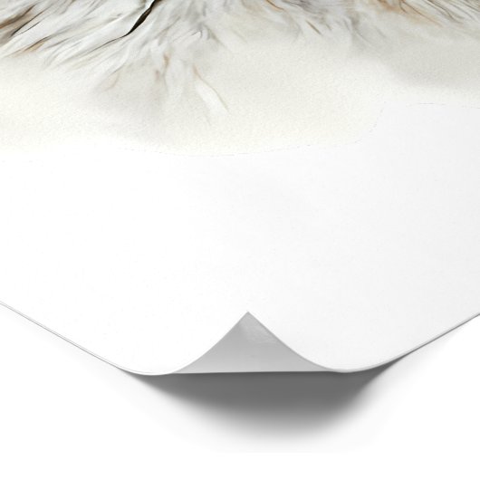 Poster Portrait de Wolf Head (Coin)