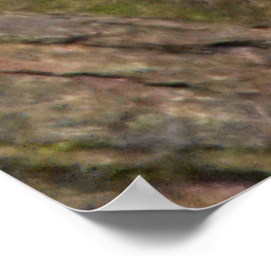 Poster Portrait d'écureuil gris (Coin)