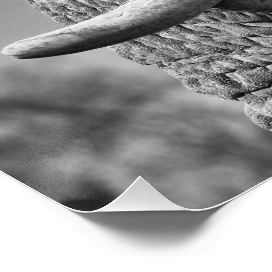 Poster Portrait d'éléphant (Coin)