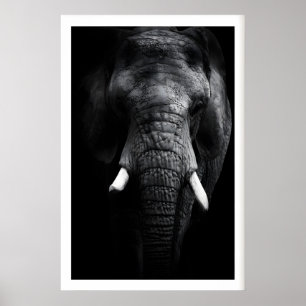 Poster Portrait d'éléphant imprimé, noir et blanc, défens