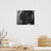 Poster Portrait d'éléphant noir et blanc (Cuisine)