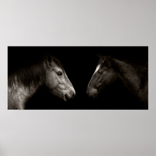 Poster Portrait des chevaux