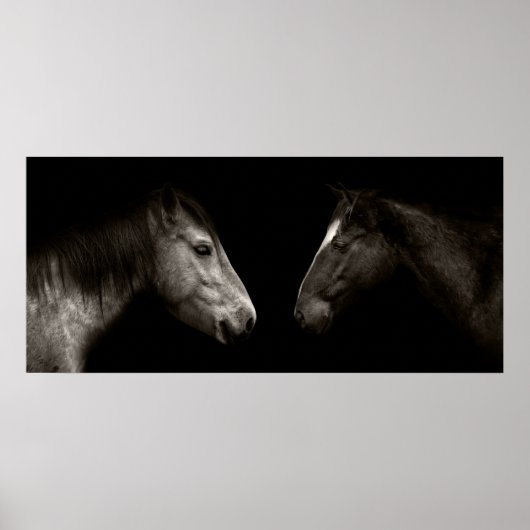 Poster Portrait des chevaux (Devant)
