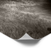 Poster Portrait des chevaux (Coin)