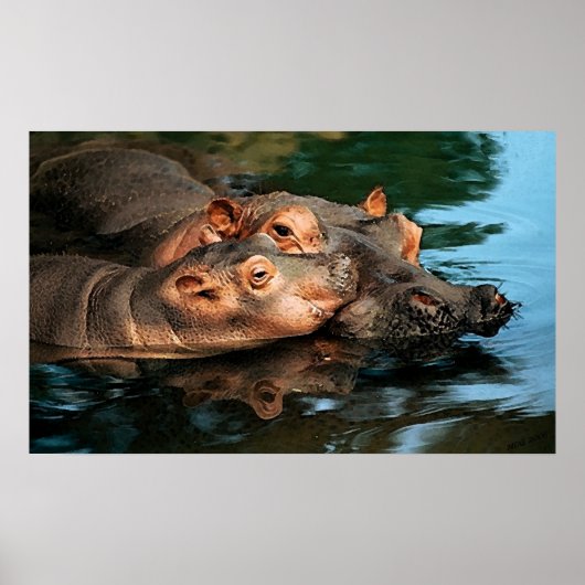 Poster Portrait d'Hippopotamus de soins à la mère (Devant)