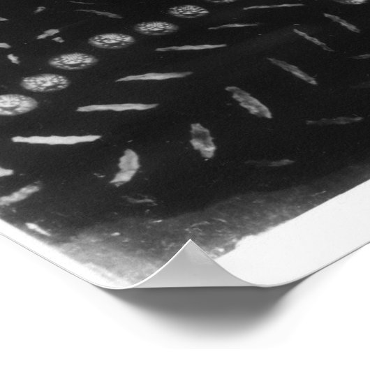 Poster Portrait dit être Christopher Marlowe (Coin)