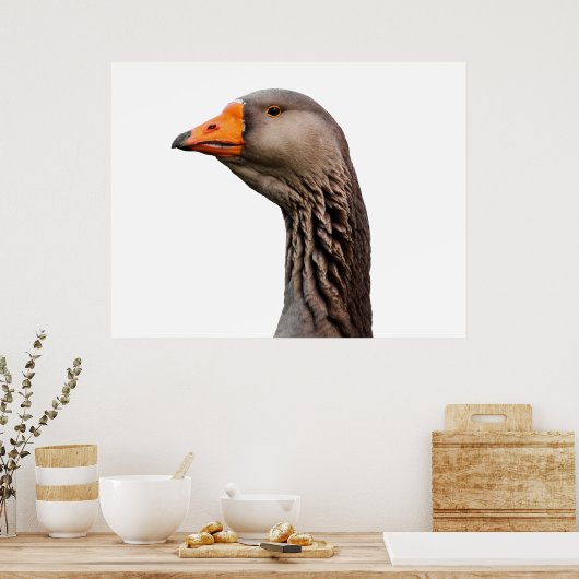 Poster Portrait d'oie (Cuisine)