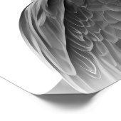 Poster Portrait d'oiseau Buse à queue rouge Noir blanc (Coin)