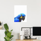 Poster Portrait d'oiseau tropical perroquet bleu (Bureau à domicile)