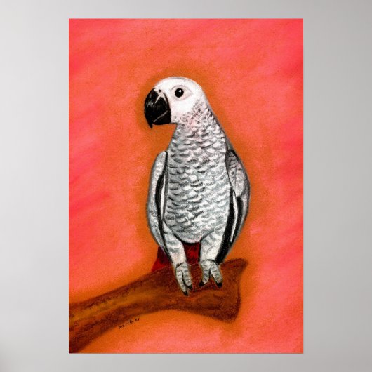 Poster Portrait d'oiseaux gris d'Afrique (Devant)