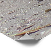 Poster Portrait Dragon (Coin)