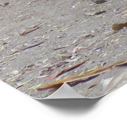 Poster Portrait Dragon (Coin)