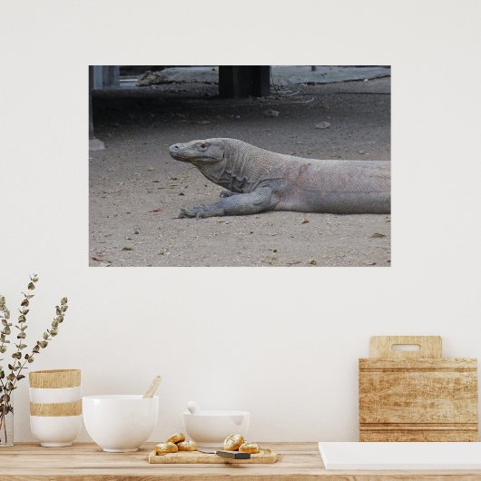 Poster Portrait Dragon (Cuisine)