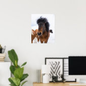 Poster Portrait drôle de cheval islandais (Bureau à domicile)