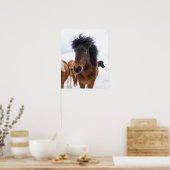Poster Portrait drôle de cheval islandais (Cuisine)