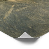 Poster Portrait du compositeur Pyotr Ilyich (Coin)