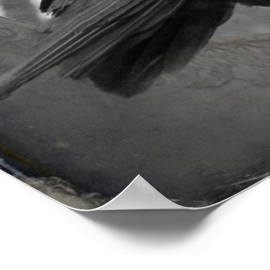 Poster Portrait du corbeau (Coin)