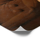 Poster Portrait du Dr Erasmus Darwin (Coin)