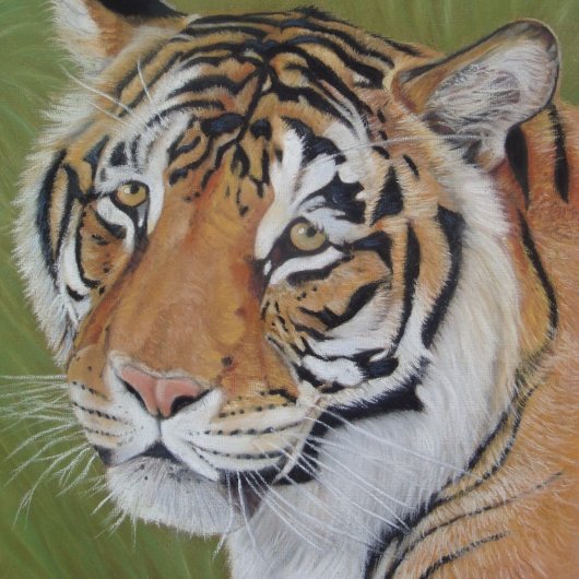 Poster portrait du grand tigre de chat