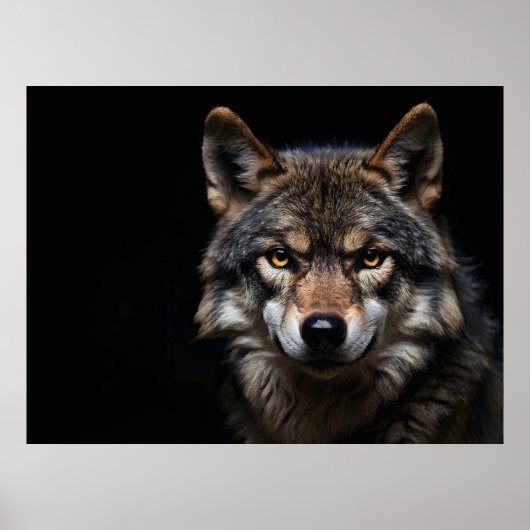 Poster Portrait du loup (Devant)