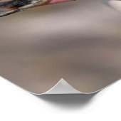 Poster Portrait du manchot de Humboldt (Coin)