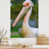 Poster Portrait du pélican blanc (Cuisine)