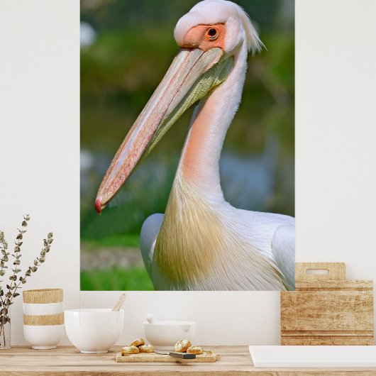 Poster Portrait du pélican blanc (Cuisine)