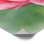 Poster Portrait du Poppy Somniferum (Coin)