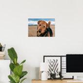 Poster Portrait d'un Airedale Terrier (Bureau à domicile)
