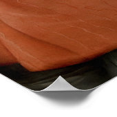 Poster Portrait d'un cardinal (Coin)