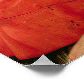 Poster Portrait d'un cardinal 2 (Coin)