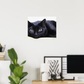 Poster Portrait d'un chat (Bureau à domicile)