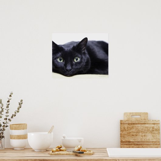Poster Portrait d'un chat (Cuisine)