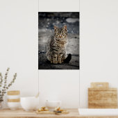 Poster Portrait d'un chat (Cuisine)