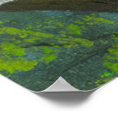 Poster Portrait d'un chat aux yeux verts mignons dans l'a (Coin)