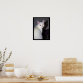 Poster Portrait d'un chat blanc (Cuisine)