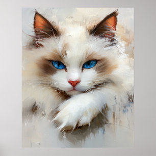 Poster Portrait d'un chat Ragdoll charmant aux yeux bleus