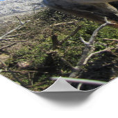 Poster Portrait d'un cheval (Coin)