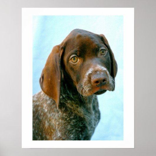 Poster Portrait d'un chien (Devant)