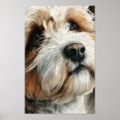 Poster Portrait d'un chien shih-doodle (Devant)