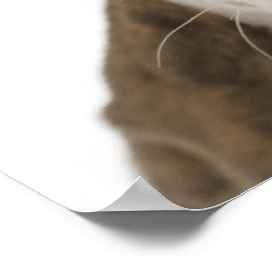 Poster Portrait d'un chiot pitbull (Coin)