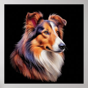 Poster Portrait d'un collie