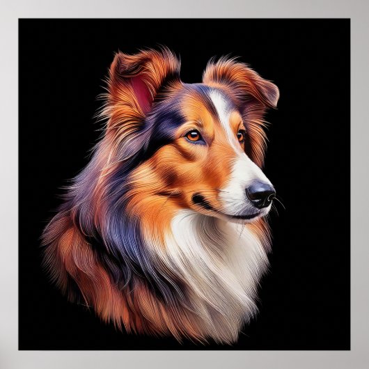 Poster Portrait d'un collie (Devant)