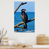Poster Portrait d'un Cormorant (Cuisine)