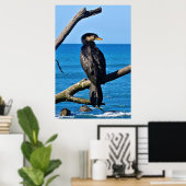Poster Portrait d'un Cormorant (Bureau à domicile)