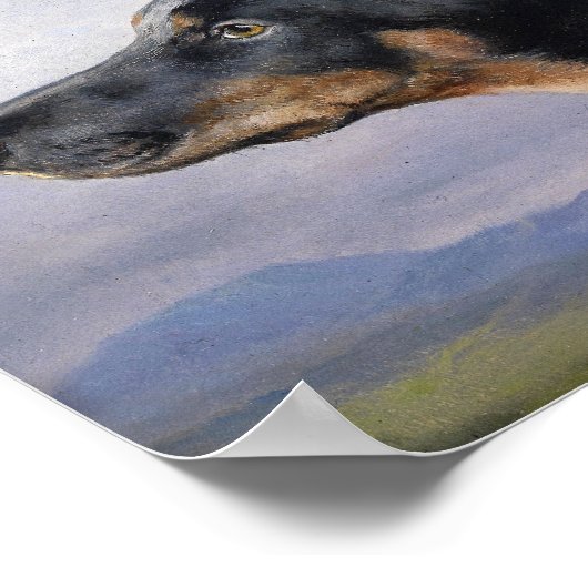 Poster Portrait d'un Doberman | Carl Reichert (Coin)