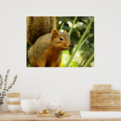 Poster Portrait d'un écureuil Nature Animal Photographie (Cuisine)