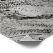 Poster Portrait d'un inconnu, 1521 (Coin)