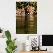 Poster Portrait d'un jaguar nageant (Bureau à domicile)